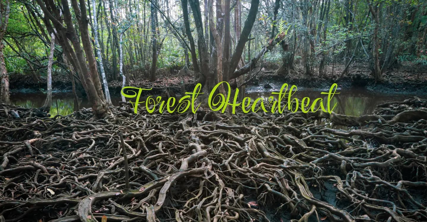 Forest Heartbeat